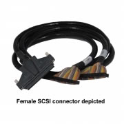 100-Way SCSI to 50-Way Ribbon  