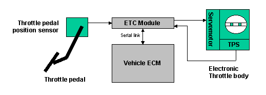 electronic throttle control